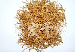 帶式干燥機 帶式干燥機